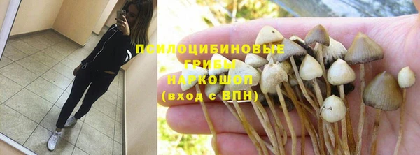 ГАЛЛЮЦИНОГЕННЫЕ ГРИБЫ Магас