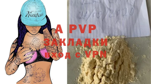 ГАЛЛЮЦИНОГЕННЫЕ ГРИБЫ Магас