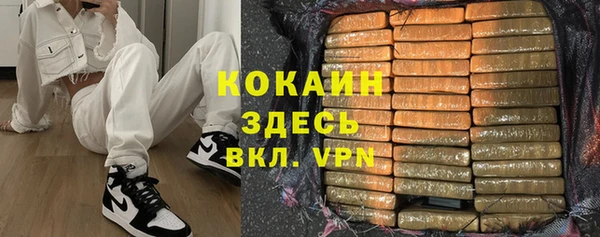 ГАЛЛЮЦИНОГЕННЫЕ ГРИБЫ Магас